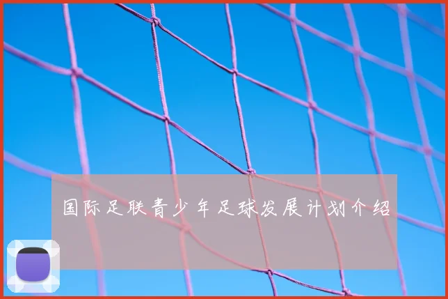 国际足联青少年足球发展计划介绍