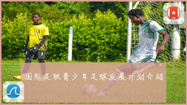 国际足联青少年足球发展计划介绍