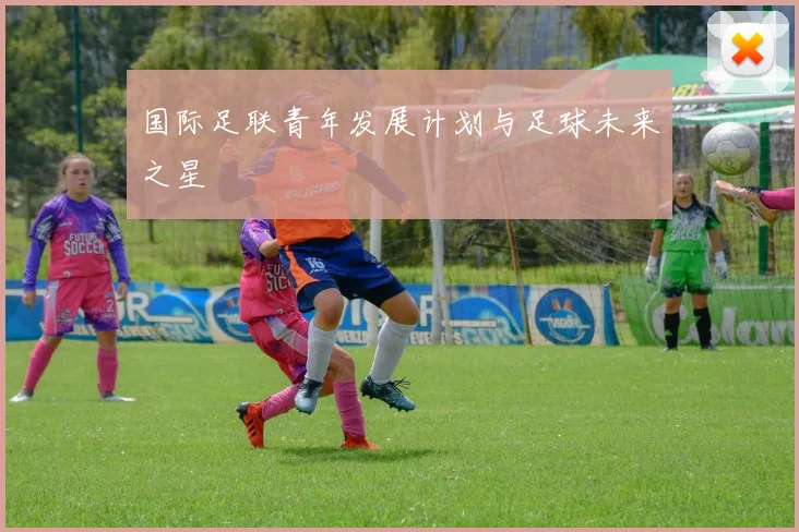 国际足联青年发展计划与足球未来之星